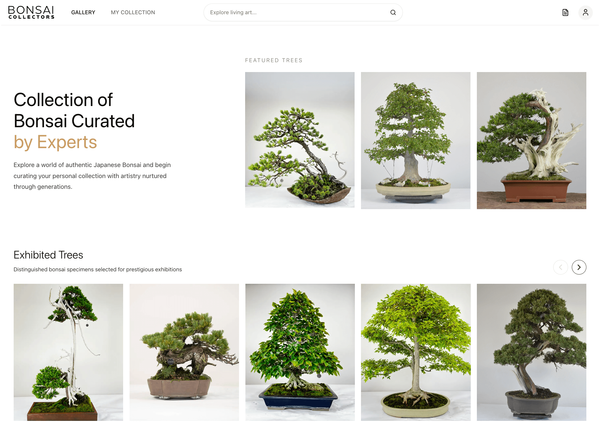 The Bonsai Collectors Gallery